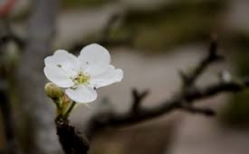 Sống đời sống thiện